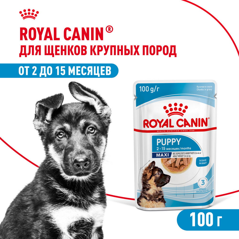 Корм для щенков ROYAL CANIN для крупных пород до 15 месяцев пауч 100г