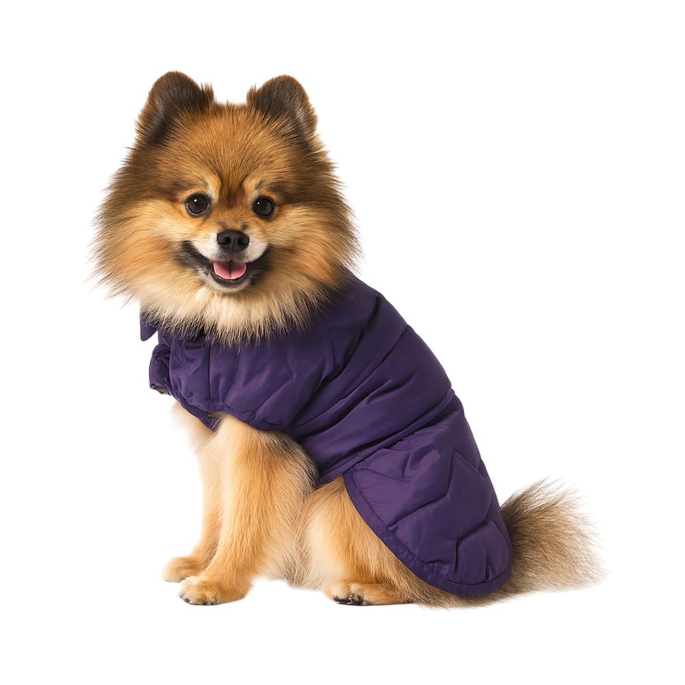 Попона для собак Foxie Zigzag фиолетовая р S длина спины 30см обхват груди 47-53см 749₽