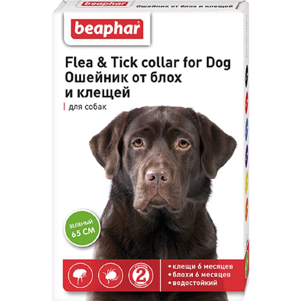 Ошейник для собак Beaphar от блох зеленый 65см beaphar beaphar биокапли от паразитов для собак средних пород 3 пипетки 32 г