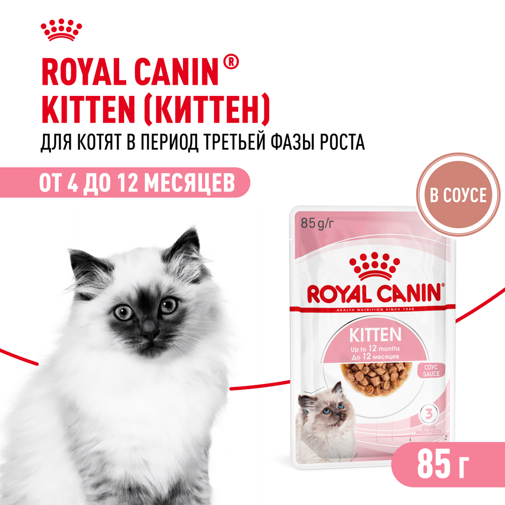 Корм для котят ROYAL CANIN в период третьей фазы роста до 12 месяцев мясо в соусе пауч 85г 109₽