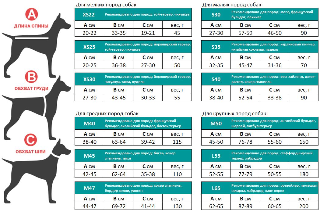 Сколько весит взрослый лабрадор. Размерная таблица комбинезонов для собак крупных пород. Размер одежды для собак 25. Размерная сетка. Таблица размеров одежды для собак мелких пород Йоркширский терьер. Размерная сетка чихуахуа для собак мелких.