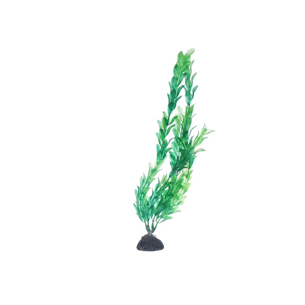 Растение пластиковое NARIBO Альтернатера зеленая 30см цена и фото