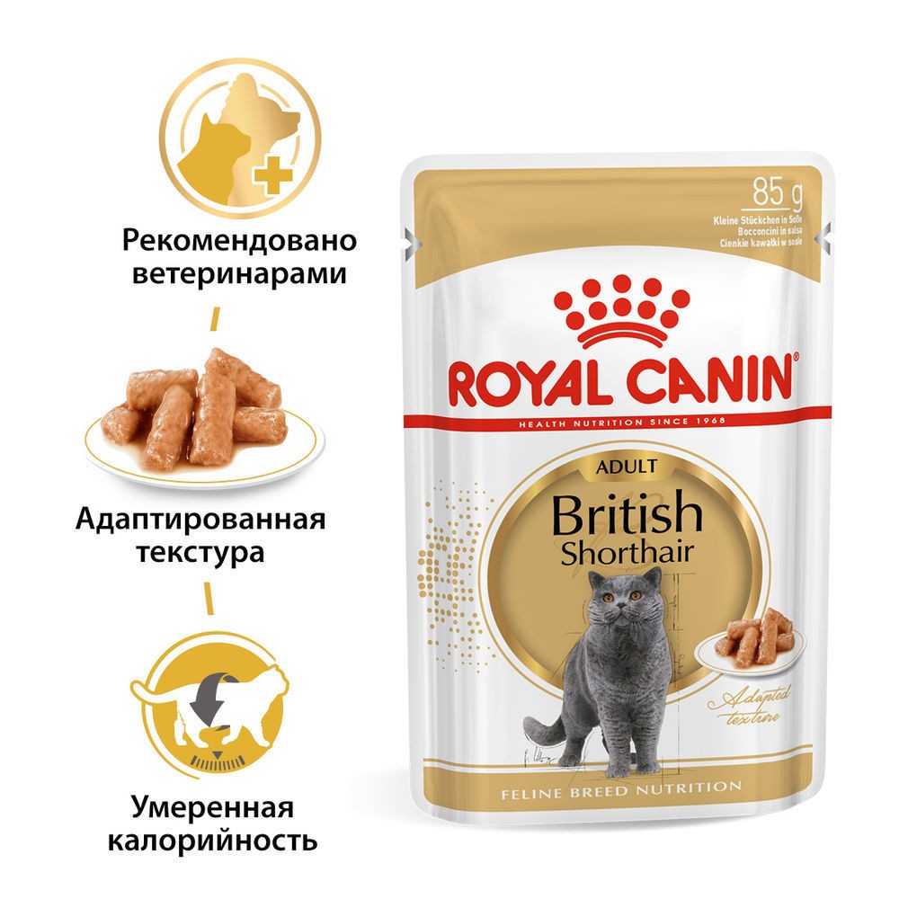 цена Корм для кошек ROYAL CANIN для британской короткошерстной, в соус конс.
