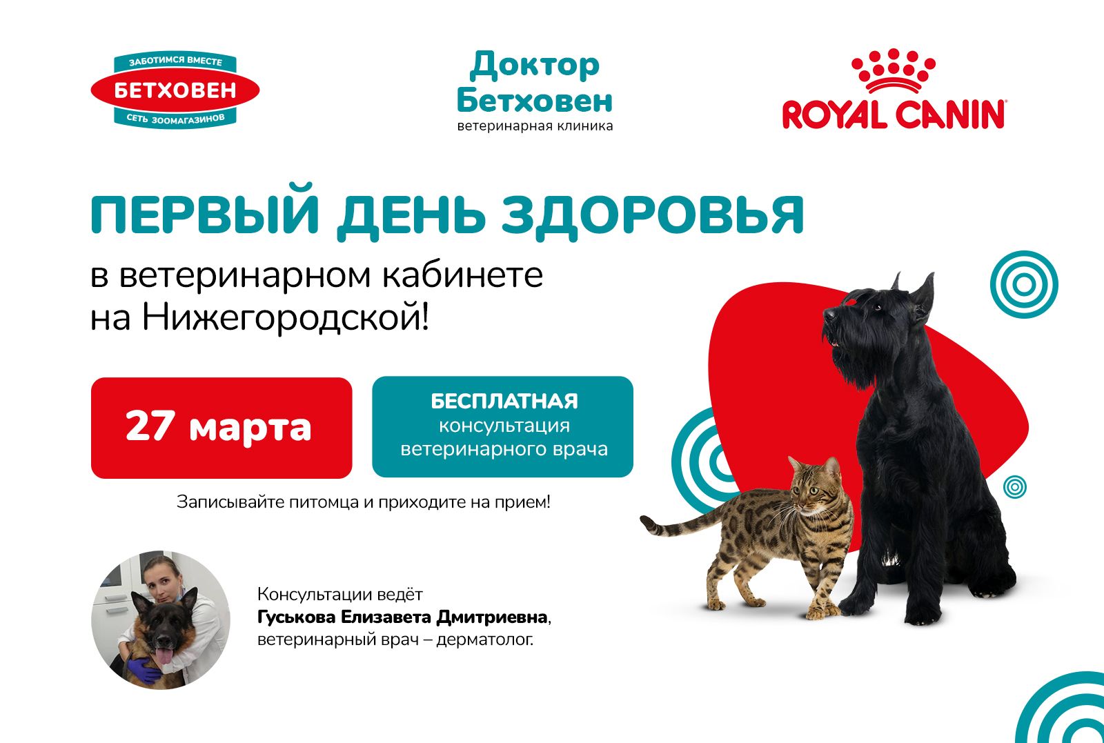 День здоровья в ветеринарном кабинете на Нижегородской