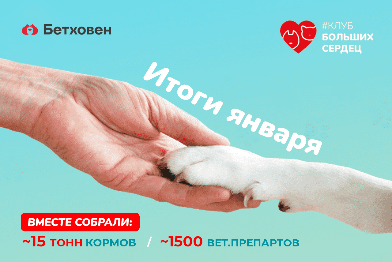 Отчет по благотворительной акции в январе