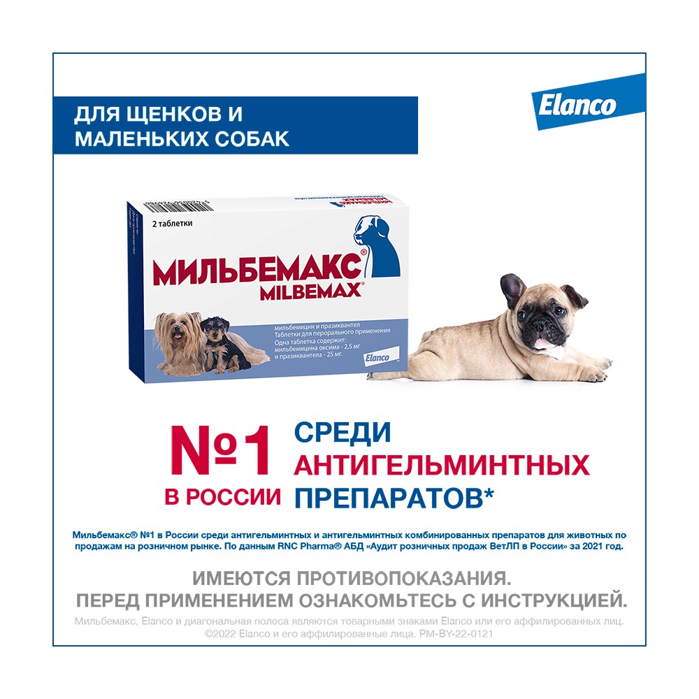 таблетки онсиор elanco для собак от 40 кг. обезболивающие для собак мелких пород. обезболивающие для собак мелких пород. ветальгин для кошек и собак мелких пород 10 таб. ветспокоин для собак 25 мл.