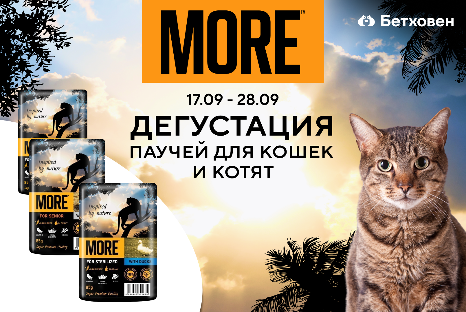 Дегустация паучей для кошек MORE