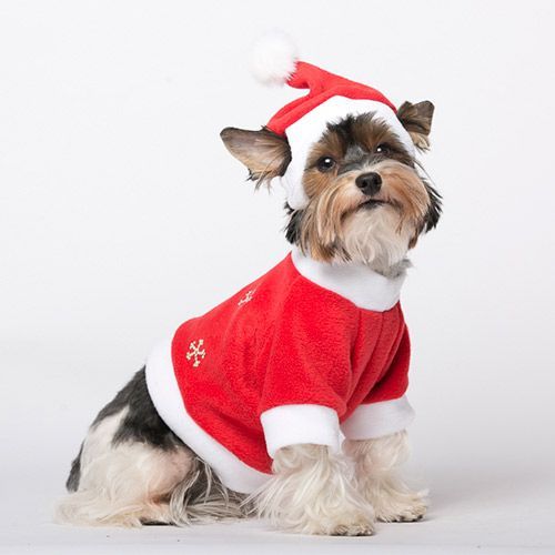 Фото - Пуловер для собак YORIKI Дед Мороз красный унисекс размер L футболка для собак yoriki коты унисекс размер l