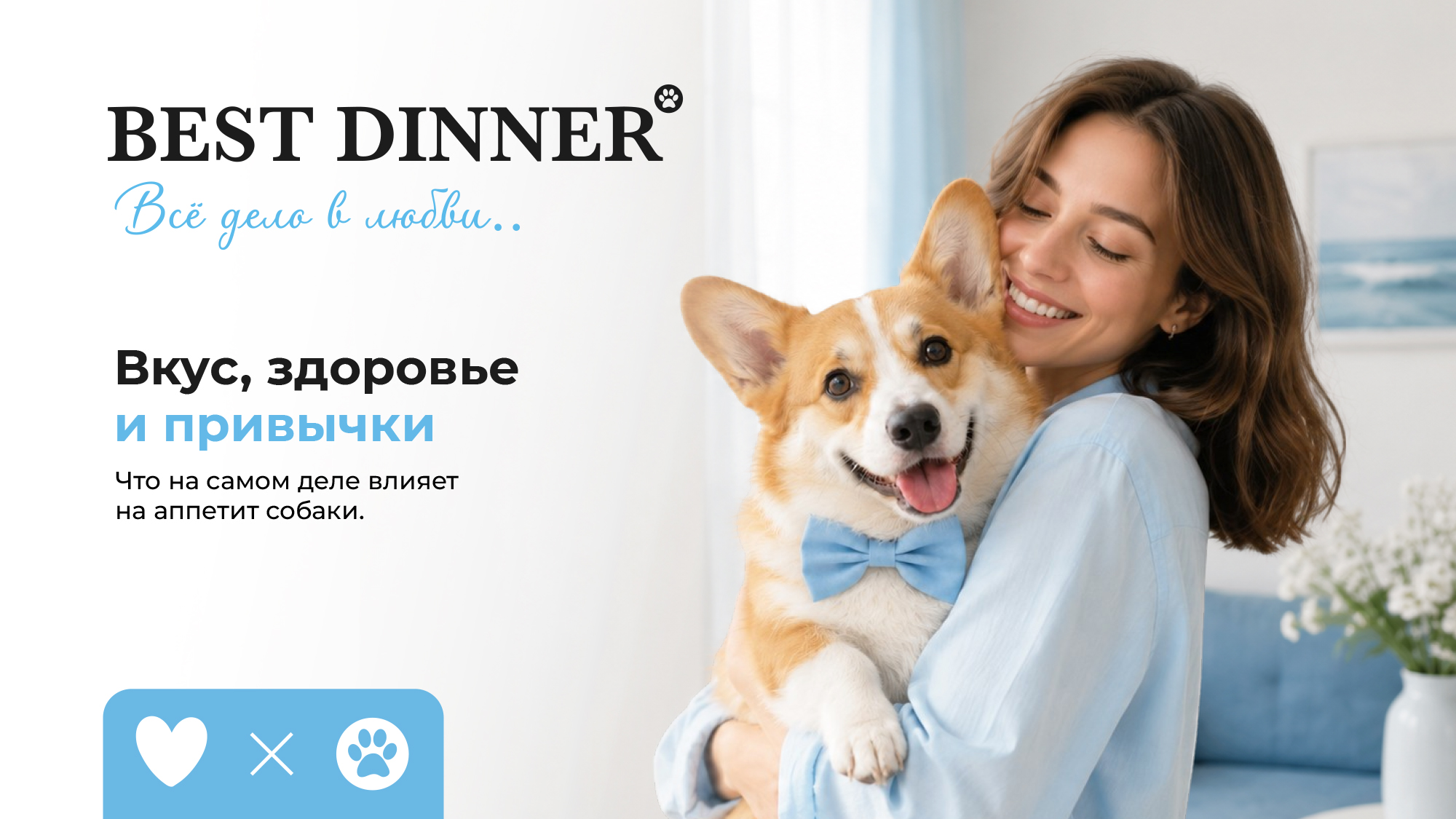  Вкус, здоровье и привычки: что на самом деле влияет на аппетит собаки.