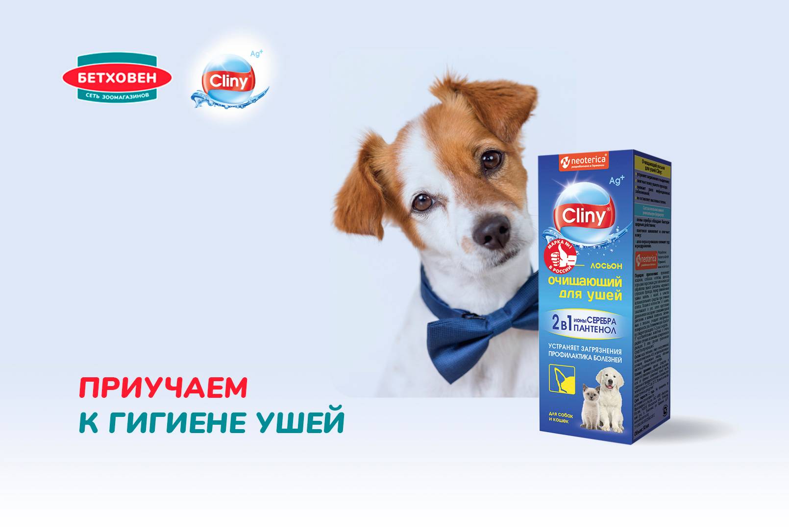Приучаем к гигиене ушей