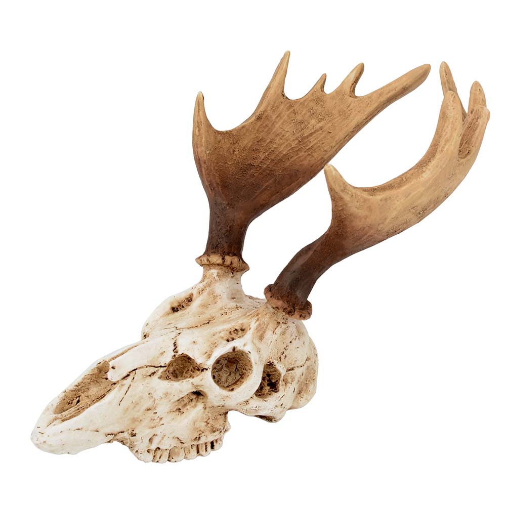 Декор для аквариумов GLOXY Череп лося 95х19х9см 1122₽