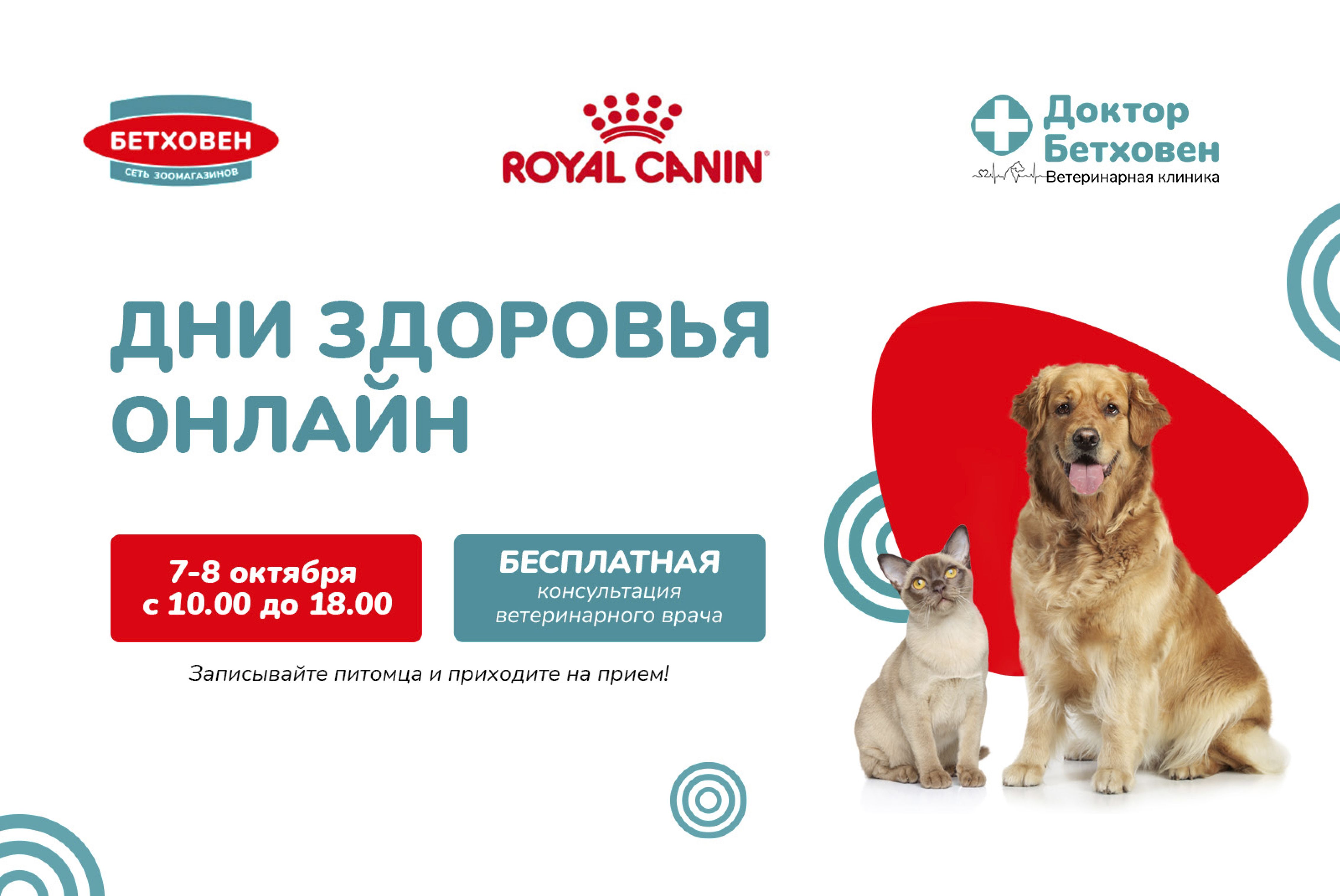 Дни здоровья ОНЛАЙН
