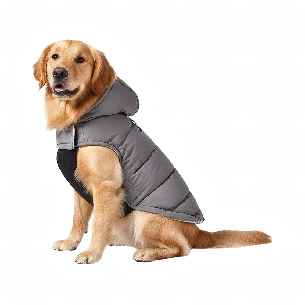 Попона для собак с козырьком Foxie Frost and sun серая р XL длина спины 45см обхват груди 62-68см 899₽