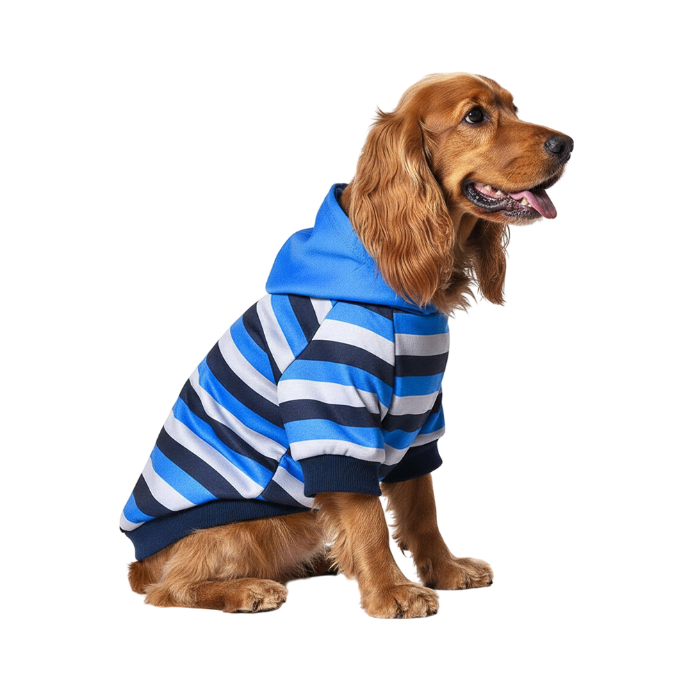 Толстовка для собак Foxie Summer evening голубая р. M (длина спины 35см, обхват груди 52-58см)