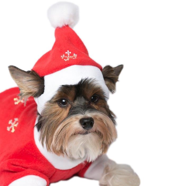 Колпак для собак YORIKI Дед Мороз красный размер универсальный