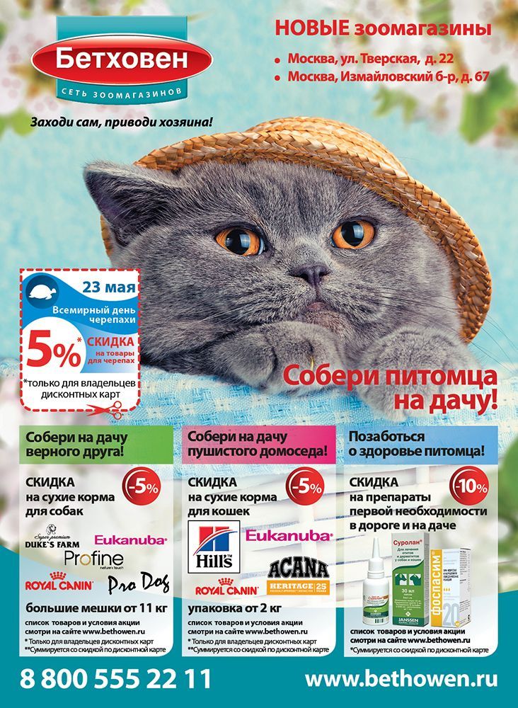 Новая газета сети "Бетховен"