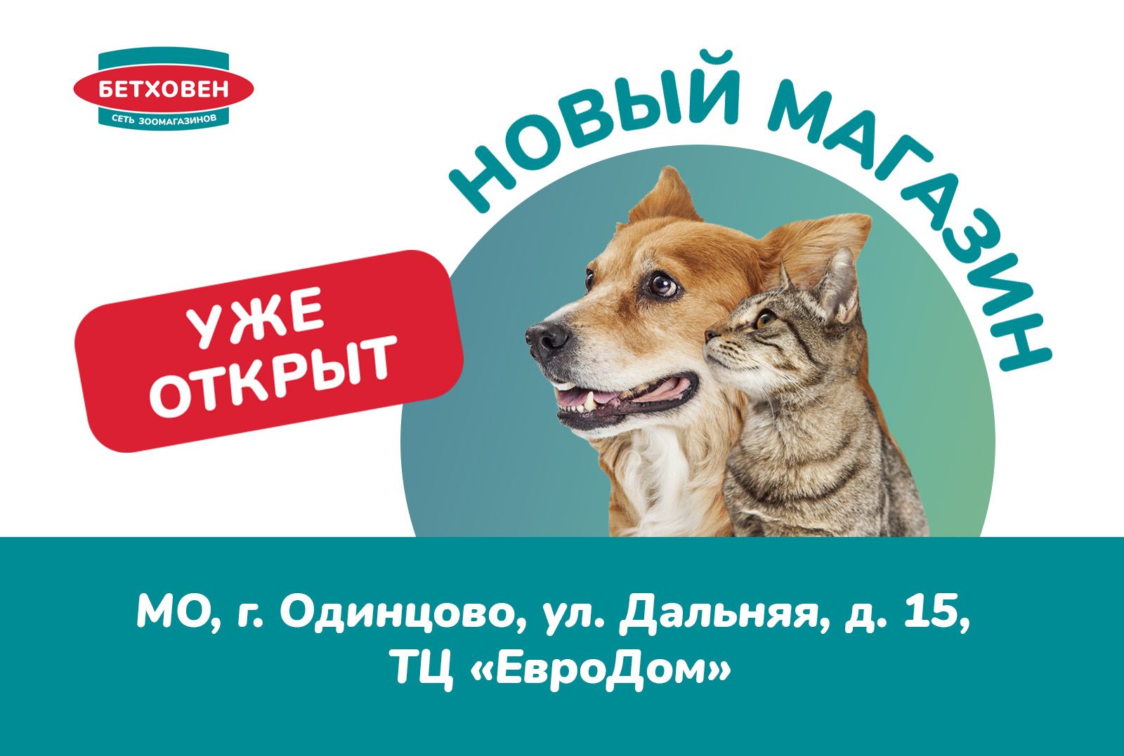 Открытие нового магазина "Бетховен"