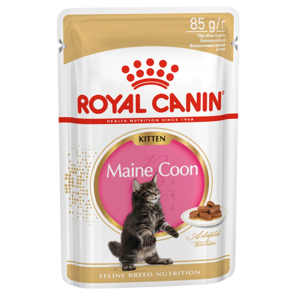Корм для котят ROYAL CANIN Kitten Мейн Кун, в соусе пауч 85г баффало 90164 b309 kitten пауч для котят нежный цыпленок в соусе 85г 17 шт