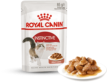 Изображение мини корма Royal Canin