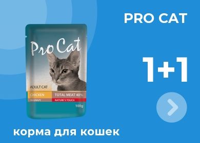 Бетховен Зоомагазин Интернет Магазин Каталог Доставка Бетховен Зоомагазин Интернет Магазин Каталог Доставка