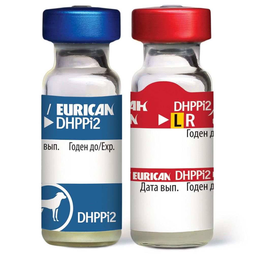 Вакцины для собак 2024. Eurican dhppi2. Эурикан LR И dhppi2. Вакцина Эурикан dhppi2-LR. Эурикан dhppi2 вакцина для собак.