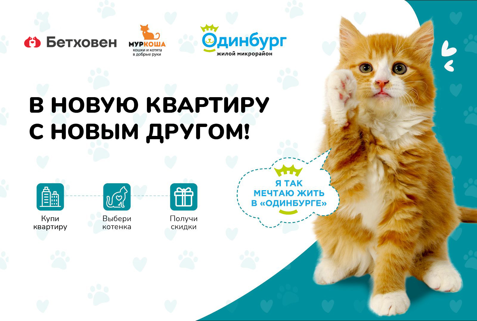 В новую квартиру с новым другом!