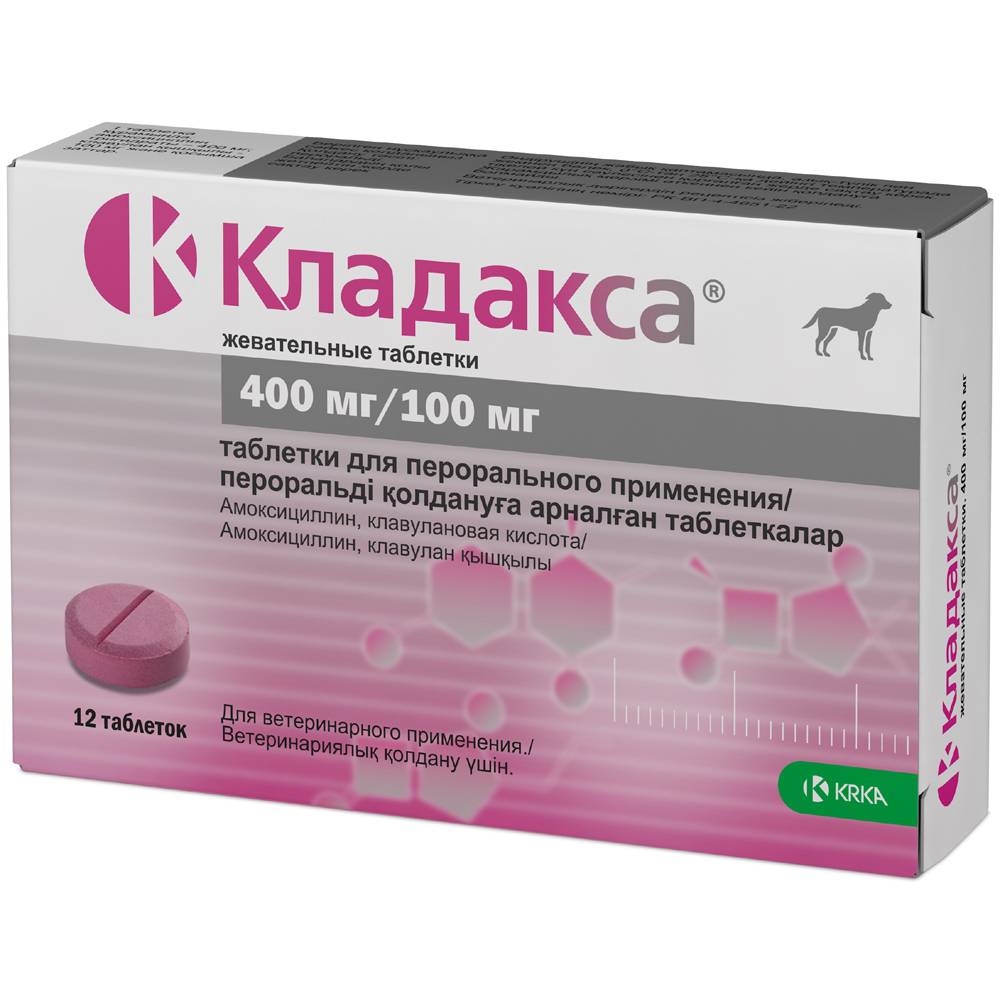 Жевательные таблетки KRKA Кладакса 400 мг/100 мг, 12 табл. таблетки krka кладакса жев 40 мг 10 мг 50 г 10шт в уп 1уп