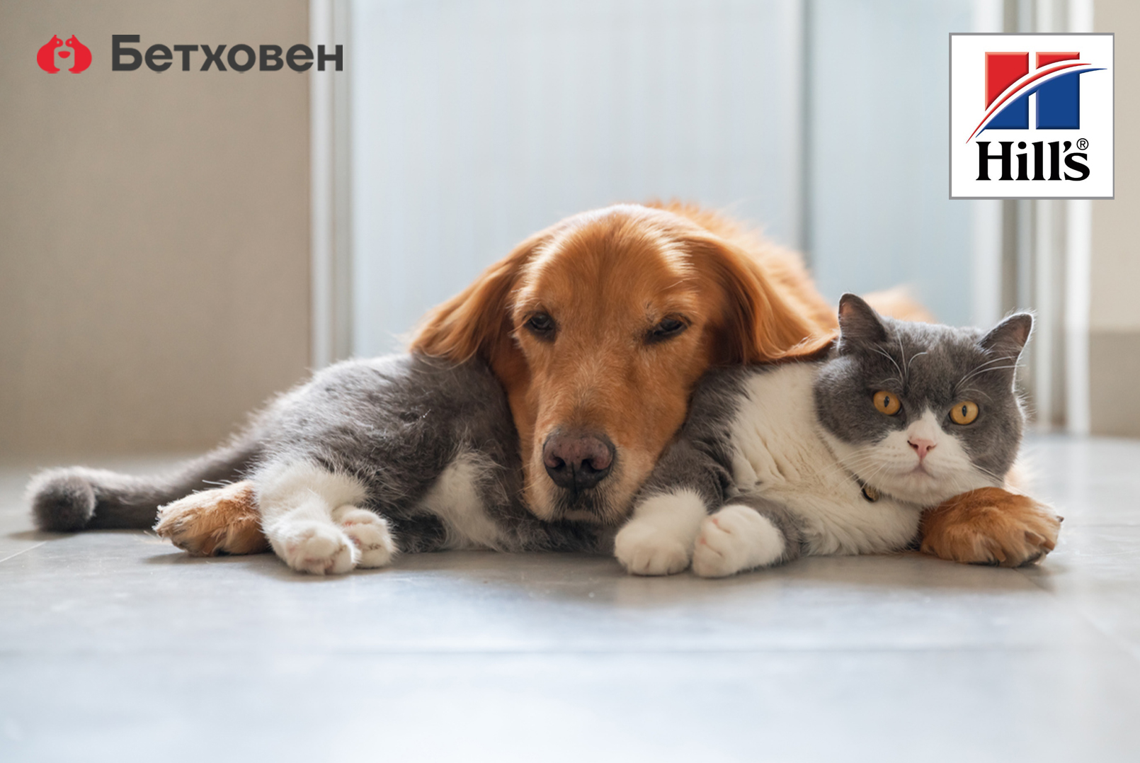 Микробиом - что это? 