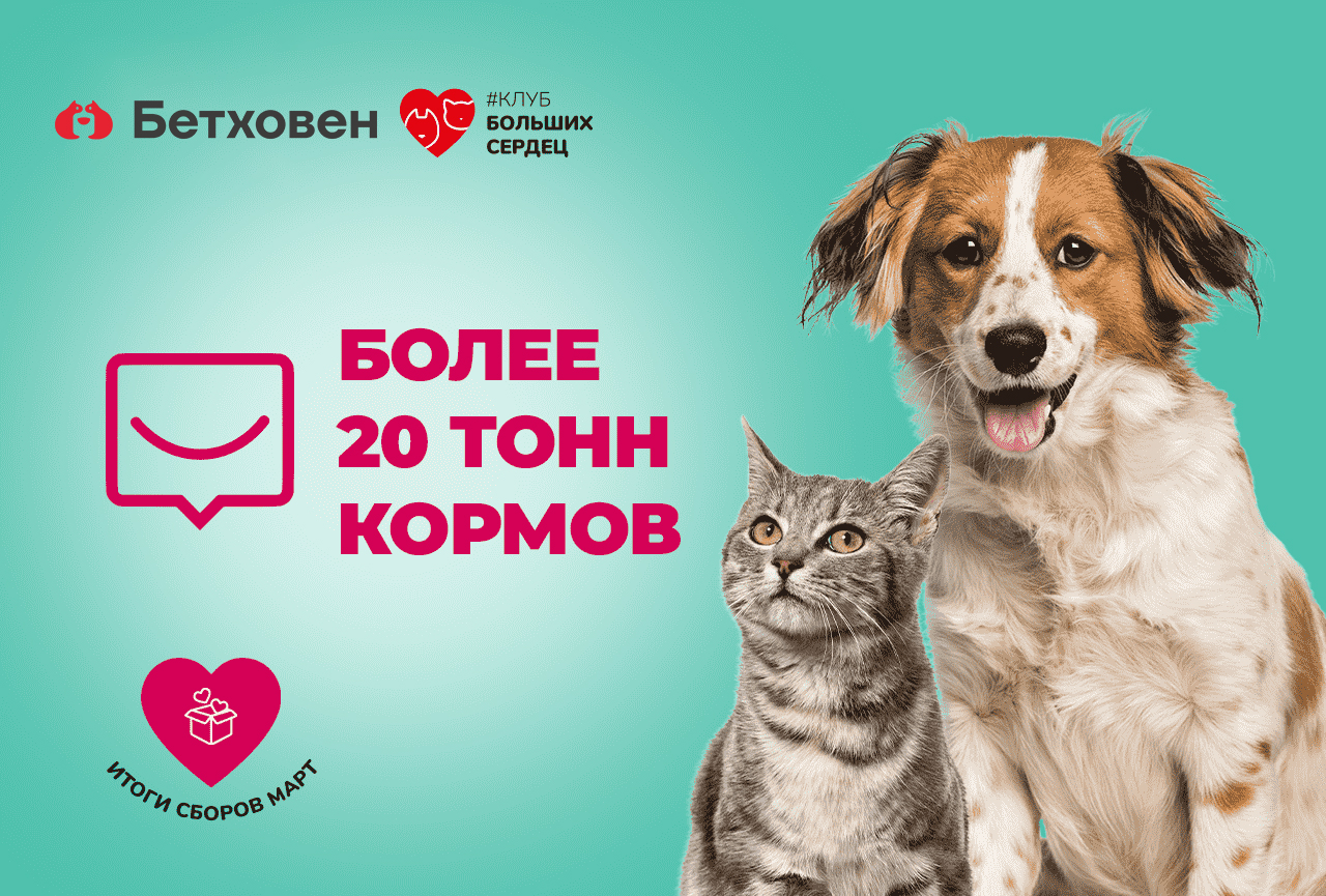 Благотворительная помощь приютам в марте