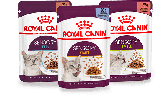 Изображение мини корма Royal Canin