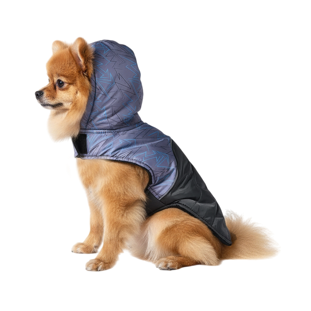 Попона для собак Foxie Bright sparks разноцветная р S длина спины 30см обхват груди 47-53см 699₽