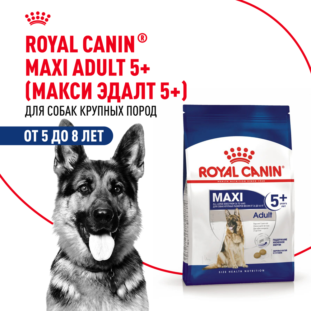 Корм для собак ROYAL CANIN Size Maxi Adult 5 для крупных пород старше 5 лет сух15кг 9221₽