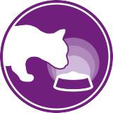 Изображение описания текста