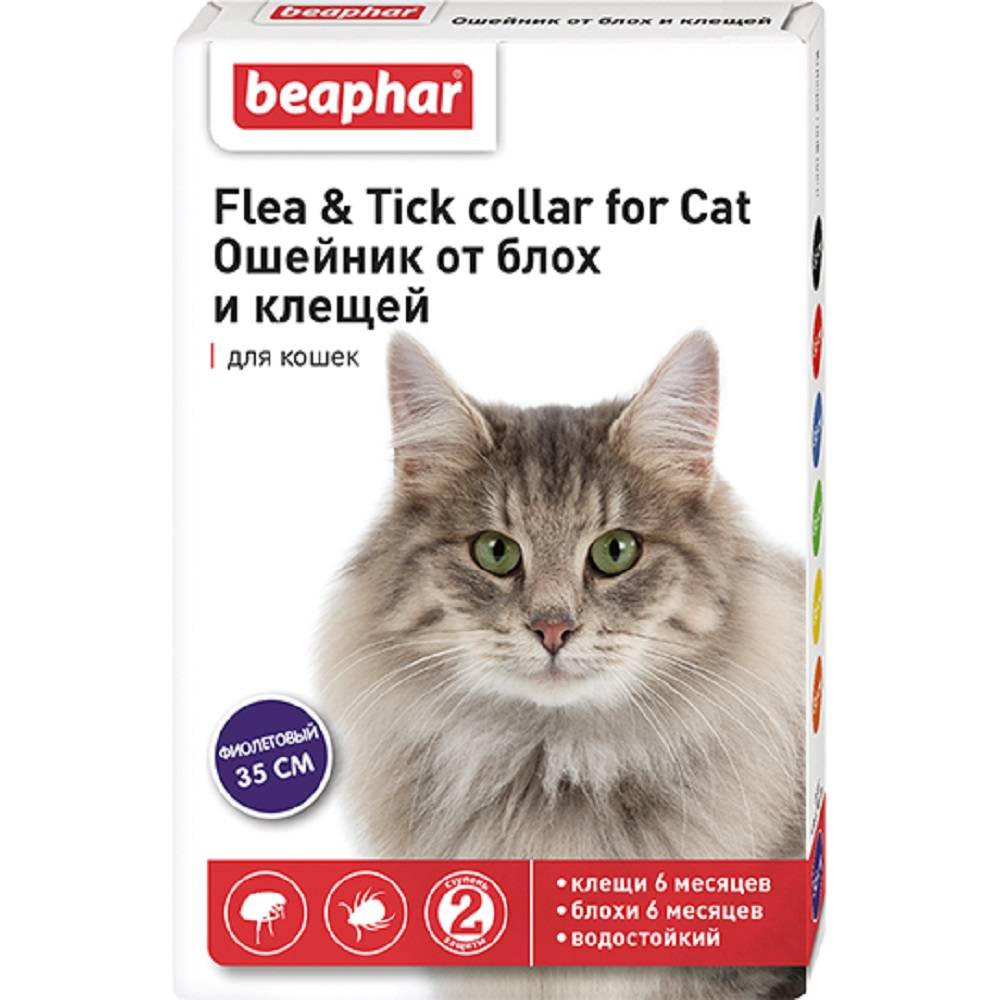 цена Ошейник для кошек Beaphar от блох фиолетовый 35см