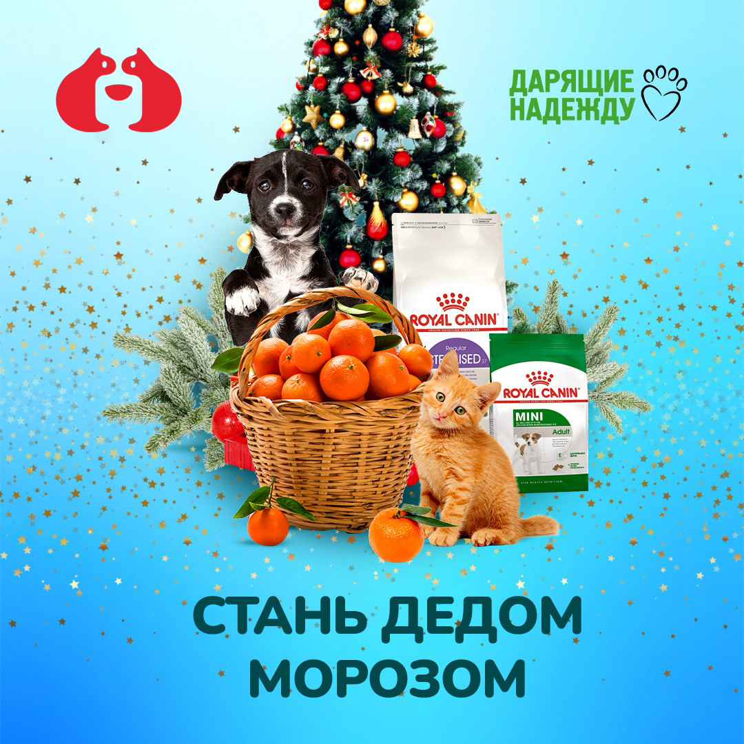 Благотворительная акция "Мандариновое настроение"