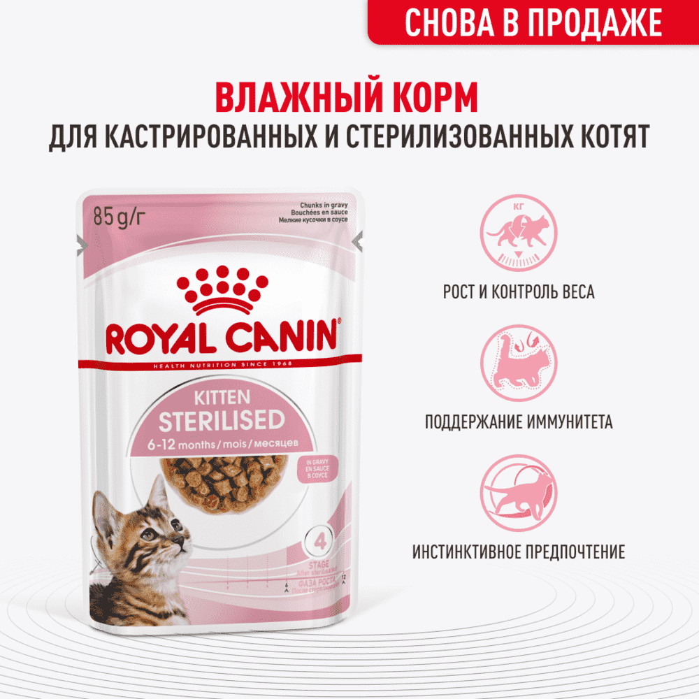 Корм для котят ROYAL CANIN Kitten Sterilised для стерилизованных от 6 мес., кусочки в соусе пауч 85г