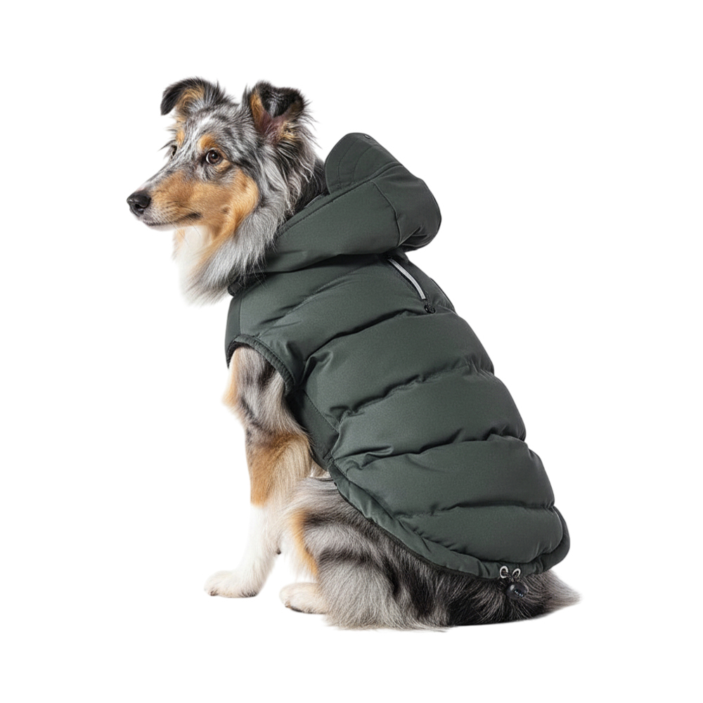 Попона для собак с козырьком Foxie Frost and sun зеленая р M длина спины 35см обхват груди 52-58см 799₽