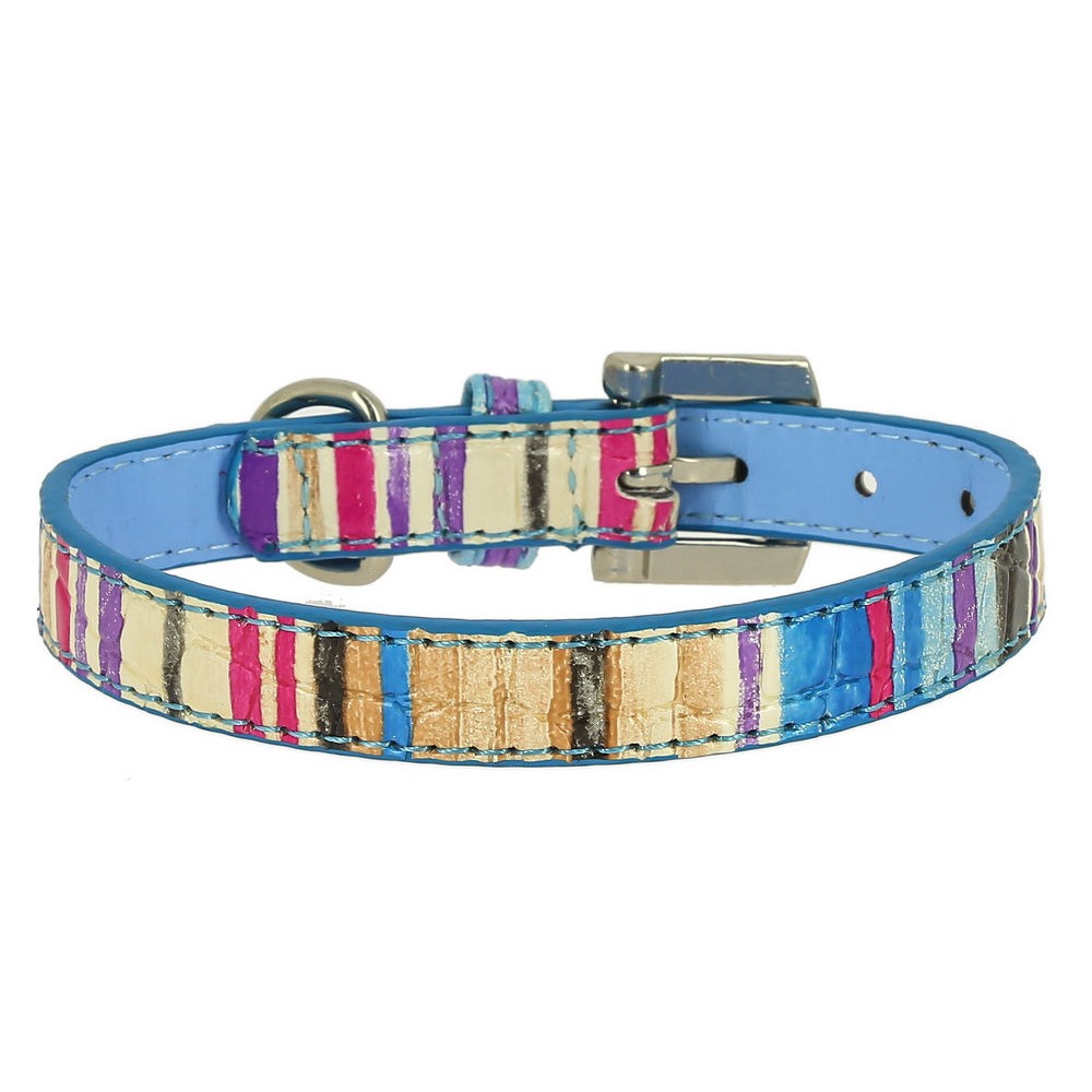 Ошейник для собак КАСКАД Колибри с рисунком Радуга 25ммх50см