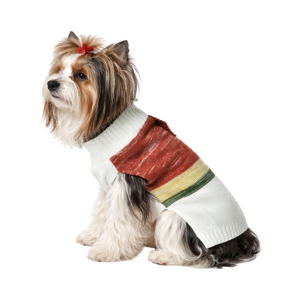 Свитер для собак Foxie Warmth and comfort разноцветный р. S (длина спины 30см, обхват груди 38-45см)