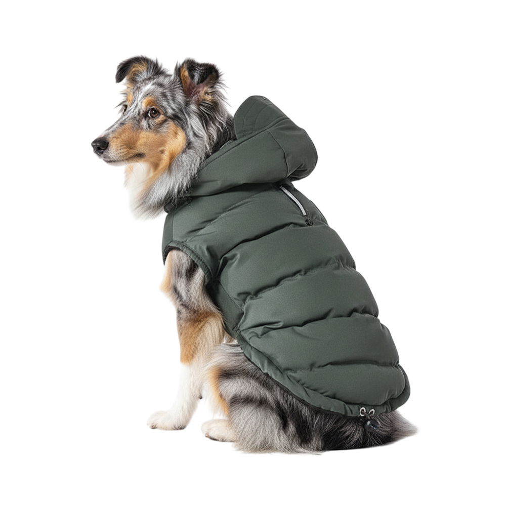 Попона для собак с козырьком Foxie Frost and sun зеленая р L длина спины 40см обхват груди 57-63см 849₽