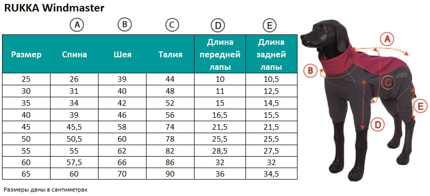 Размеры Костюма Магазин