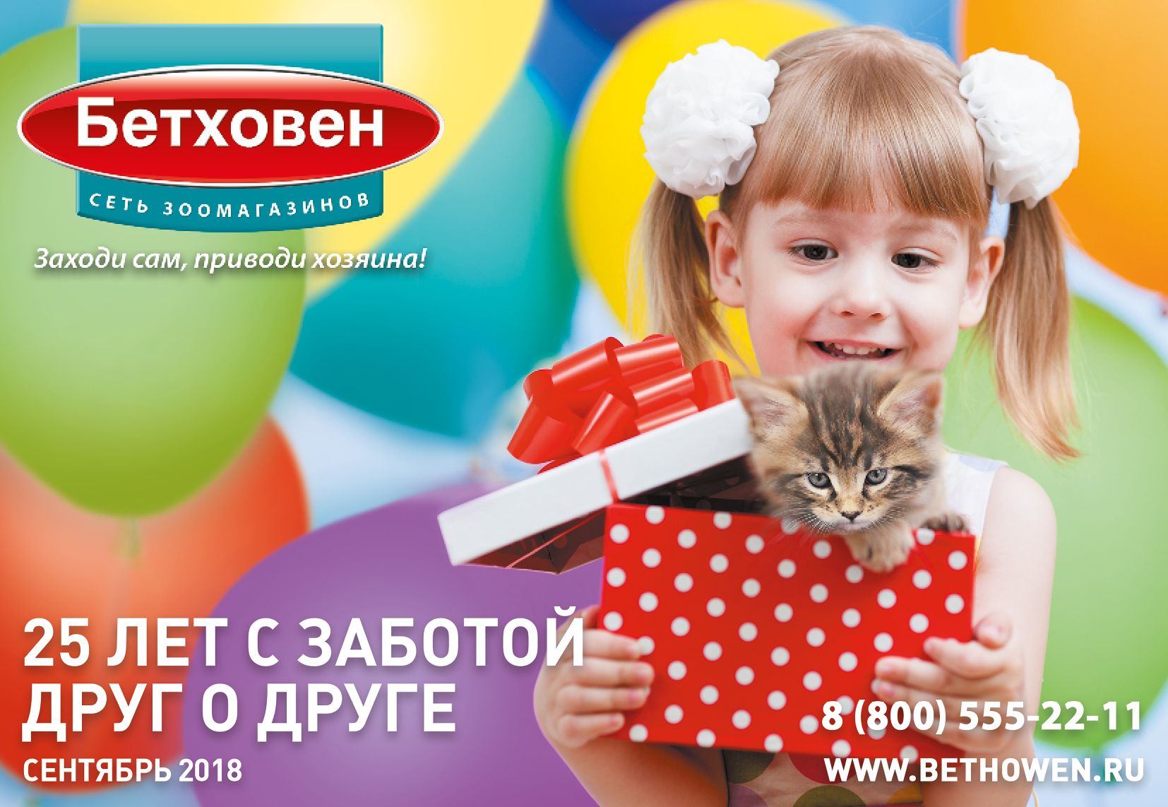Новый выпуск каталога сети "Бетховен" на сентябрь для кошек