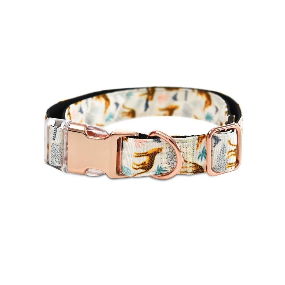 Ошейник для собак Foxie Cheetah M 1,9x35-50см