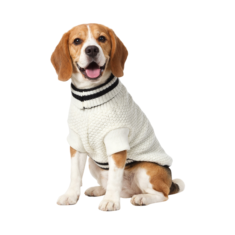 Свитер для собак Foxie Stripes белый с черным р. L (длина спины 40см)