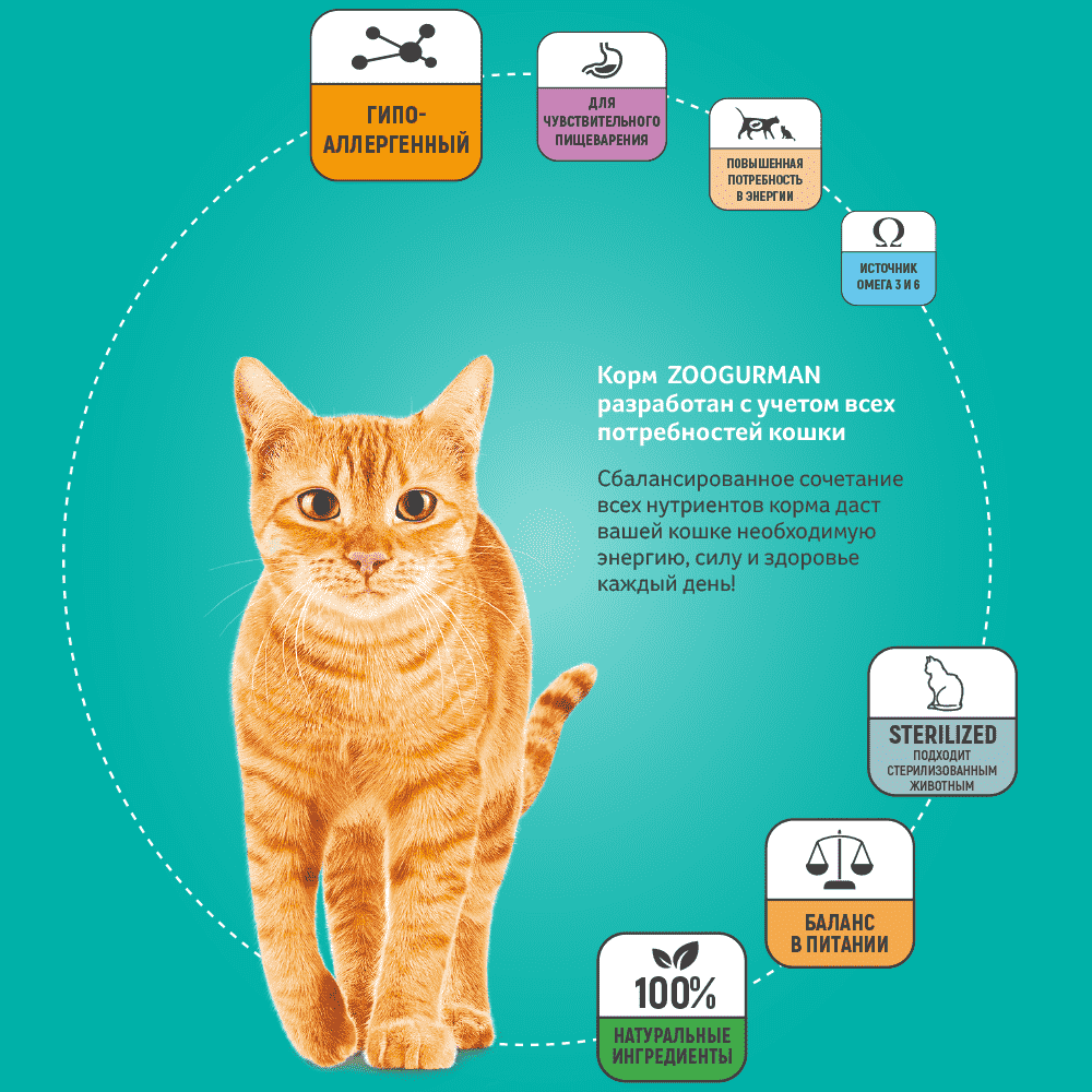 паучи зоогурман