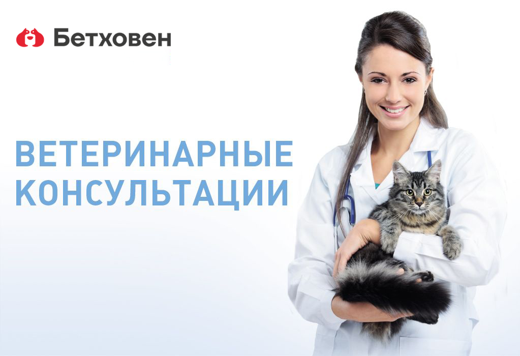 31 августа День ветеринарного работника России