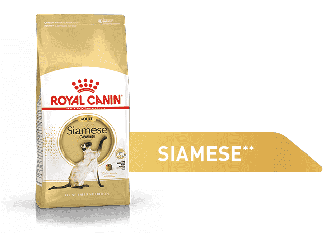 Изображение корма Royal Canin Bengal