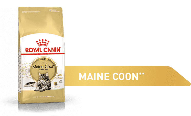 Изображение корма Royal Canin Bengal