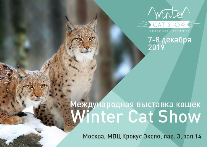Ждем всех на Winter Cat Show 2019
