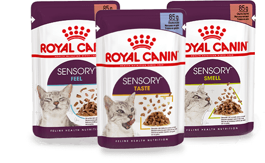 Изображение мини корма Royal Canin